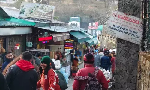 पर्यटकों को Kasauli, चैल की अपेक्षा बर्फ से ढके क्षेत्र अधिक पसंद पर्यटकों को Kasauli, चैल की अपेक्षा बर्फ से ढके क्षेत्र अधिक पसंद