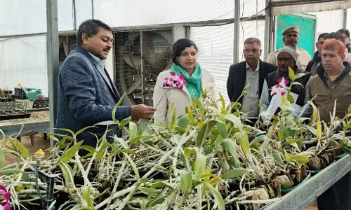 Madhupur: जिला कलेक्टर ने फूल उत्कृष्टता केंद्र का किया निरीक्षण