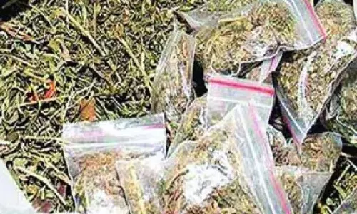 Mumbai: गांजा तस्करी के आरोप में ऑटो रिक्शा चालक गिरफ्तार