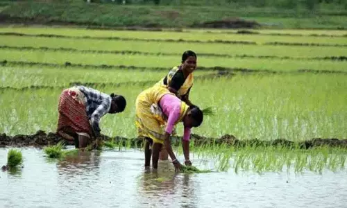 Raithu Bharosa: नए मानदंडों पर कैबिनेट उप-समिति में सहमति नहीं बन पाई Raithu Bharosa: नए मानदंडों पर कैबिनेट उप-समिति में सहमति नहीं बन पाई