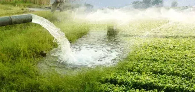 Datia: खुले बोरबेल, कुआ /बाबड़ी का प्रमाण पत्र समय सीमा में प्रस्तुत करने के निर्देश