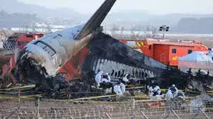 Jeju air crash हवाई अड्डे के रनवे सुरक्षा क्षेत्रों पर संशोधित नियमों की आवश्यकता को उजागर किया