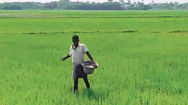 उर्वरक की दरों पर अंकुश लगाने के लिए सरकार प्रयास कर रही