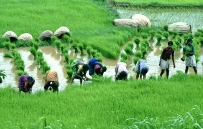 New Delhi: प्रधानमंत्री फसल बीमा योजना में किसानों की आवश्यकता के अनुसार संशाेधन करने का फैसला