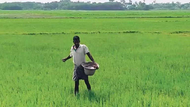 किसानों के विरोध प्रदर्शन के कारण Bargarh प्रशासन को धान खरीद में तेजी लाने पर मजबूर होना पड़ा