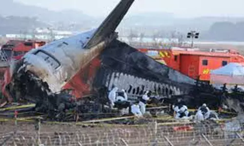 Jeju air crash हवाई अड्डे के रनवे सुरक्षा क्षेत्रों पर संशोधित नियमों की आवश्यकता को उजागर किया