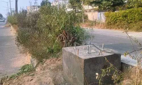 Haryana : नगर निगम ने यमुनानगर, जगाधरी में 3 मुख्य सड़कों के सौंदर्यीकरण का काम शुरू किया