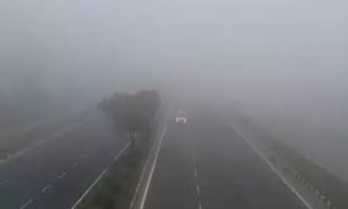 Haryana: घना कोहरा,जानिए कब होगी बारिश
