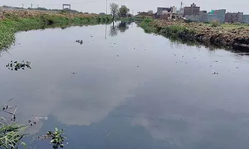 Haryana :  सिंचाई जल में जैव-रासायनिक ऑक्सीजन मांग का स्तर खतरनाक स्तर पर पहुंच गया
