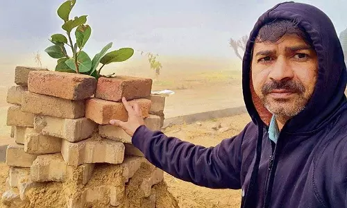 Haryana : पर्यावरण संरक्षण की आवश्यकता