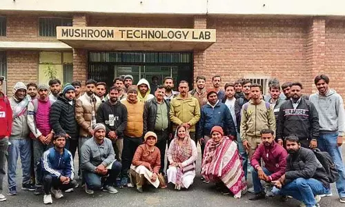 Haryana : कैम्पस नोट्स मशरूम उत्पादन का प्रशिक्षण Haryana : कैम्पस नोट्स मशरूम उत्पादन का प्रशिक्षण
