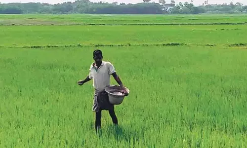 उर्वरक की दरों पर अंकुश लगाने के लिए सरकार प्रयास कर रही