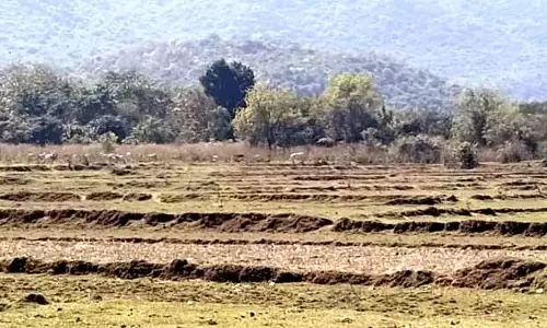TAC ने आदिवासी भूमि हस्तांतरण नियमों में संशोधन के BJDसरकार के प्रस्ताव को खारिज कर दिया