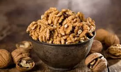 Health: अखरोट का सेवन इन लोगों के लिए है वरदान Health: अखरोट का सेवन इन लोगों के लिए है वरदान