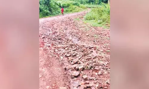 Andhra में सड़क नहीं होने से अस्पताल ले जाने में देरी से नवजात की मौत Andhra में सड़क नहीं होने से अस्पताल ले जाने में देरी से नवजात की मौत