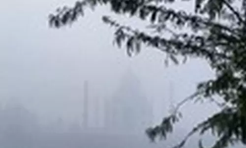 UP: आगरा, मथुरा में कोहरे की मोटी चादर छाई, दृश्यता प्रभावित