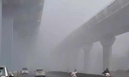 MP के कई शहरों में घना कोहरा छाया, पचमढ़ी में न्यूनतम तापमान 3.4 डिग्री दर्ज किया गया