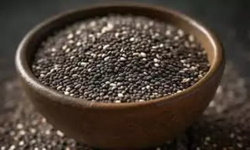 Til Benefits: अपनी दिनचर्या में शामिल करें ये चीजें, सर्दियों में मिलेगा भारी मुनाफा