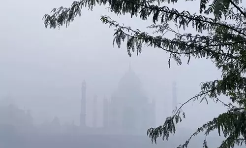 आगरा और Mathura में कोहरे की मोटी चादर छाई, दृश्यता प्रभावित