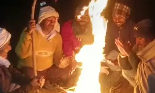 Bareilly: खेतों पर जमाया डेरा, कड़ाके की ठंड और छुट्टा पशुओं से लड़ रहे जंग किसान