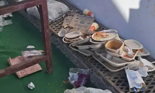 Himachal: कार्निवल में प्लास्टिक प्रतिबंध का उल्लंघन, शिकायत दर्ज