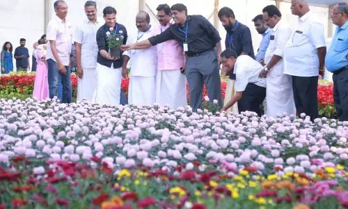 Kerala :   पुष्प प्रदर्शनी के अंतिम दिन पर रोक लगाने का आदेश जारी किया