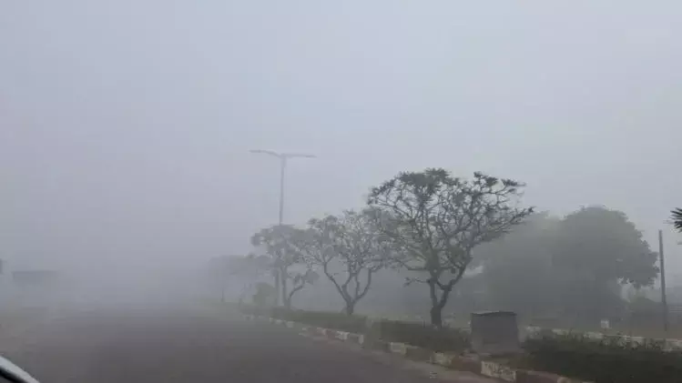Damoh: ठंड से कांप रहे लोग, न्यूनतम तापमान में 2.4 डिग्री की गिरावट Damoh: ठंड से कांप रहे लोग, न्यूनतम तापमान में 2.4 डिग्री की गिरावट