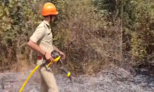 Kannur में चिन्मय विद्यालय के पास काजू के बाग में आग लग गई, किसी के हताहत होने की खबर नहीं