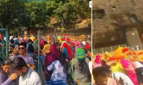 Lonavala: ऐ एकवीरा किले में श्रद्धालुओं पर मधुमक्खियों का हमला