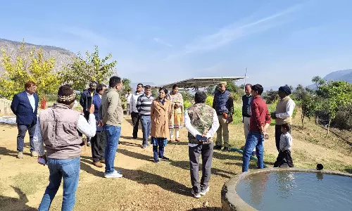 Alwar: जिला कलेक्टर डॉ. आर्तिका शुक्ला ने आज थानागाजी क्षेत्र का दौरा Alwar: जिला कलेक्टर डॉ. आर्तिका शुक्ला ने आज थानागाजी क्षेत्र का दौरा