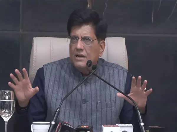 एम्बुलेंस सेवाएं प्रदान करते समय ब्लिंकिट को देश के कानून का पालन करना होगा: Piyush Goyal