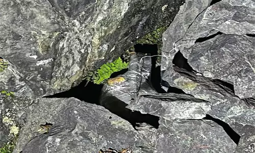 सेना ने J-K के रियासी में माहौर-गुलाबगढ़ रोड पर IED का पता लगाया, क्षेत्र सुरक्षित सेना ने J-K के रियासी में माहौर-गुलाबगढ़ रोड पर IED का पता लगाया, क्षेत्र सुरक्षित