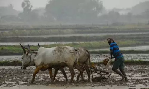 ‘महाराष्ट्र की कृषि भूमि जल्द ही वापस की जाएगी’