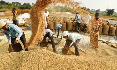 Motihari: जिले में 9413 एमटी धान की हुई खरीदारी