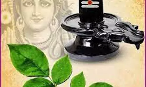 धर्म: जानें घर में बेल पत्र का पौधा लगाना शुभ है या अशुभ धर्म: जानें घर में बेल पत्र का पौधा लगाना शुभ है या अशुभ