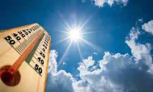 Delhi: IMD says 2024 भारत के लिए 1901 के बाद सबसे गर्म साल होगा Delhi: IMD says 2024 भारत के लिए 1901 के बाद सबसे गर्म साल होगा