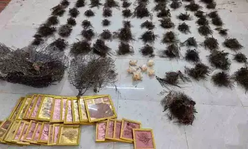 Hyderabad DRI अधिकारियों ने कोरल के अवैध कब्जे और व्यापार के लिए दो लोग गिरफ्तार Hyderabad DRI अधिकारियों ने कोरल के अवैध कब्जे और व्यापार के लिए दो लोग गिरफ्तार