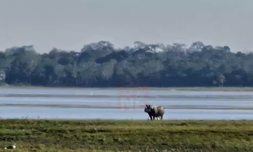 Assam : क्या काजीरंगा संरक्षण और सामुदायिक विकास में संतुलन स्थापित कर सकता Assam : क्या काजीरंगा संरक्षण और सामुदायिक विकास में संतुलन स्थापित कर सकता