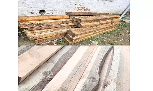Jammu: स्टाफ की कमी से तस्करों पर लगाम लगाने के वन विभाग के काम में बाधा Jammu: स्टाफ की कमी से तस्करों पर लगाम लगाने के वन विभाग के काम में बाधा