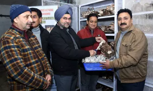 Jammu: कृषि निदेशक ने शिताके मशरूम की पहली फसल का उद्घाटन किया