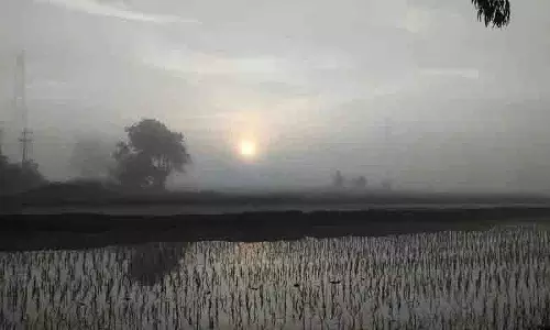 शीतलहर जारी रहेगी, न्यूनतम तापमान 2 से 4 degree सेल्सियस के बीच रहेगा शीतलहर जारी रहेगी, न्यूनतम तापमान 2 से 4 degree सेल्सियस के बीच रहेगा