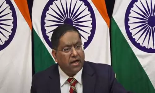 प्रासंगिक टी शब्द आतंकवाद है न कि टैंगो...: पाक उप प्रधानमंत्री की टिप्पणी पर MEA