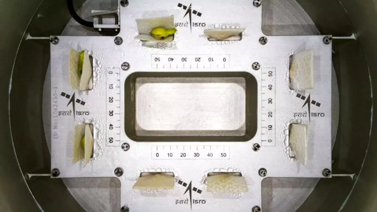 सूक्ष्मगुरुत्वाकर्षण परिस्थितियों में लोबिया के बीज अंकुरित होने के बाद ISRO ने कहा