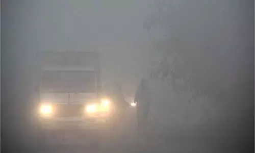 Jalandhar: घने कोहरे की चादर में लिपटा शहर, सड़कों पर रेंगते नजर आए वाहन