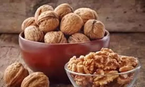 Health:अखरोट खाना इन लोगों के लिए है वरदान Health:अखरोट खाना इन लोगों के लिए है वरदान