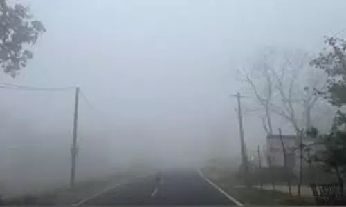 Weather: झारखंड में घना कोहरा कई हिस्सों में शीतलहर का प्रकोप