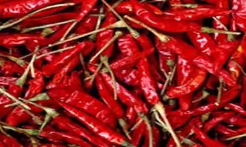साल के पहले शनिवार को करें लाल मिर्च के ये उपाय साल के पहले शनिवार को करें लाल मिर्च के ये उपाय