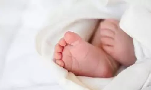 Himachal: मां की ममता शर्मसार,  इस हालत में मिली  नवजात