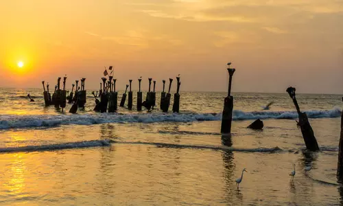 Kerala: समुद्र तटों पर दिव्यांग पर्यटकों के लिए पार्किंग स्थल बनाए जाएंगे