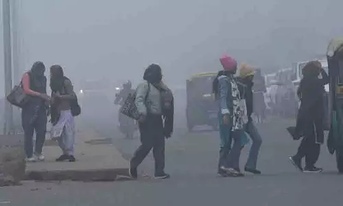 उत्तर भारत में घना कोहरा छाया, Chandigarh में दृश्यता शून्य
